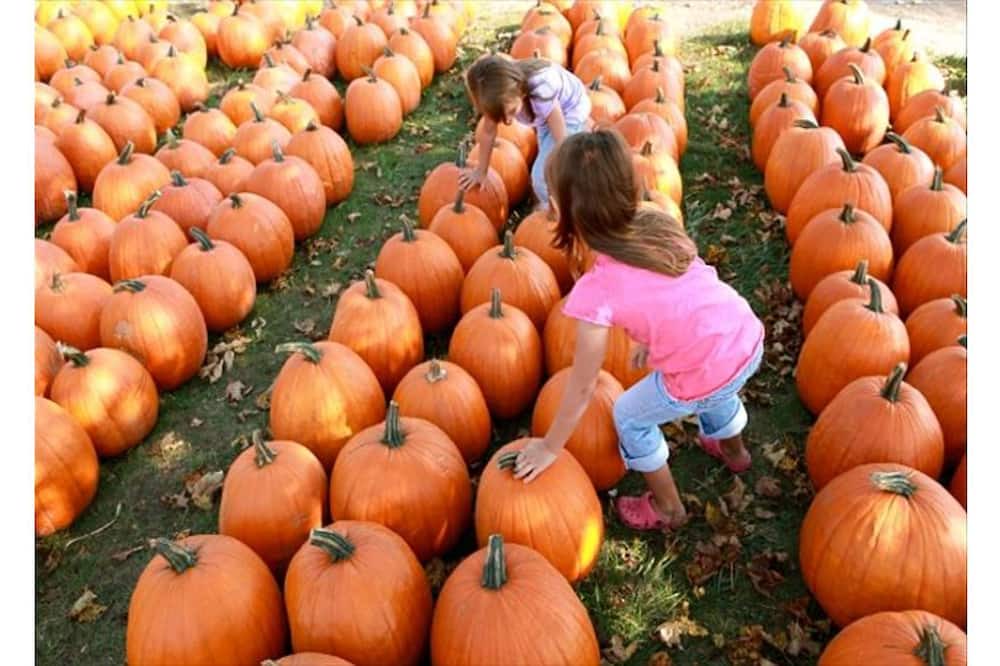 Photo of Others in East Marion