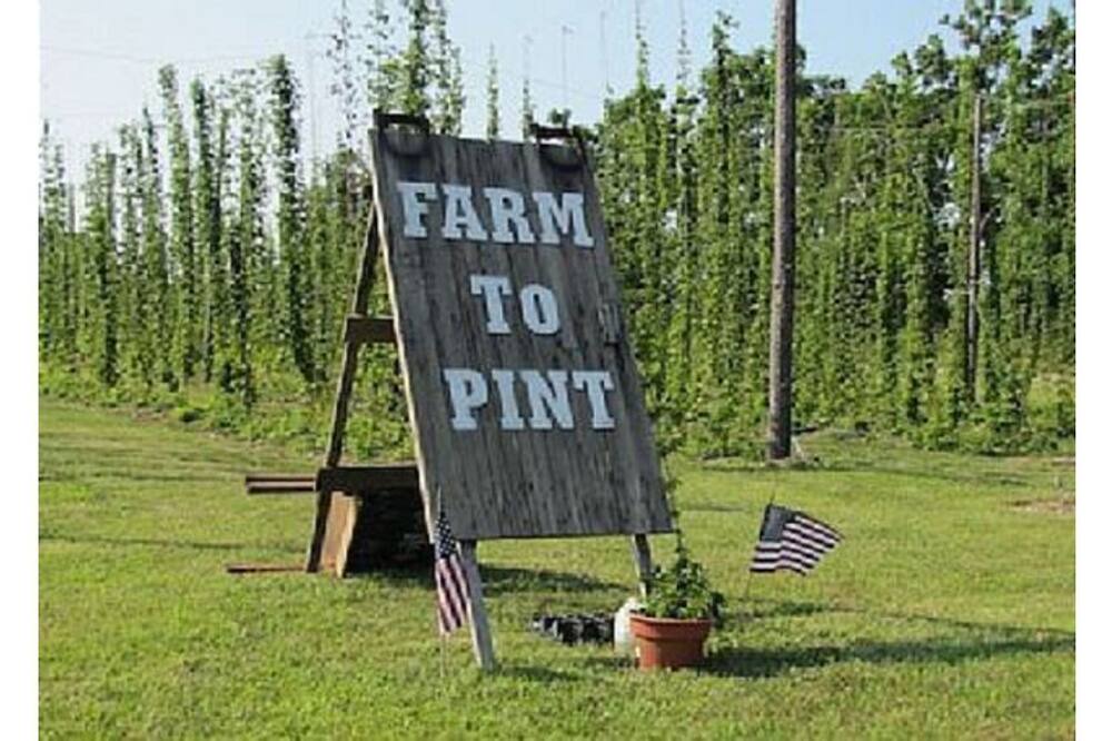 Photo of Others in East Marion