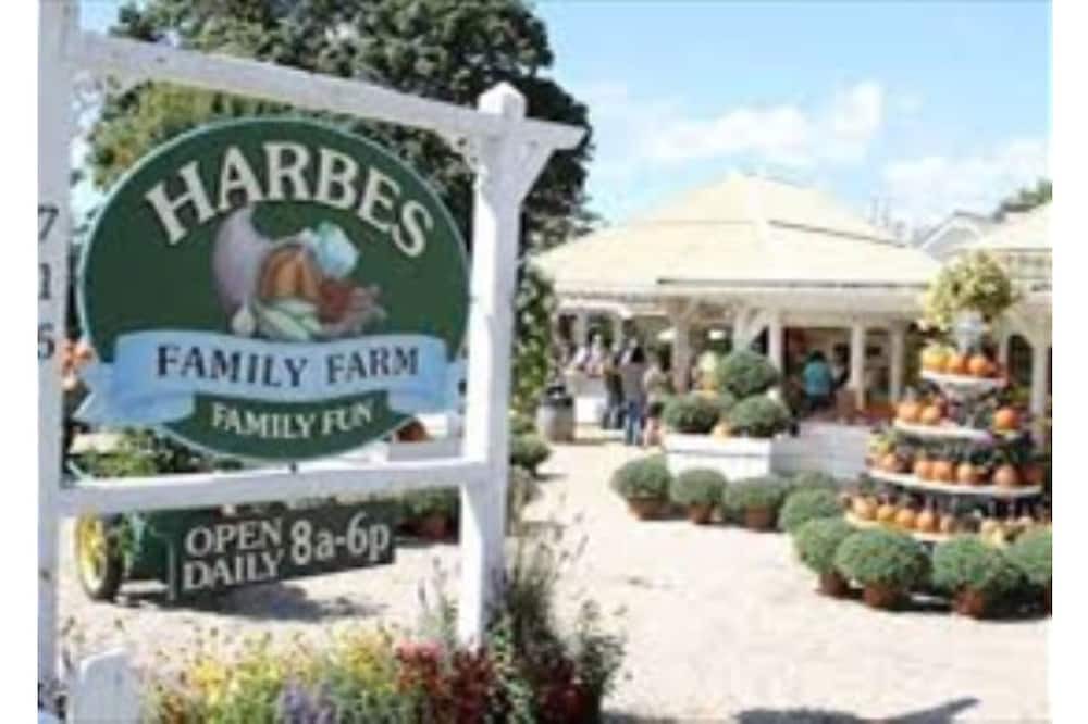 Photo of Others in East Marion