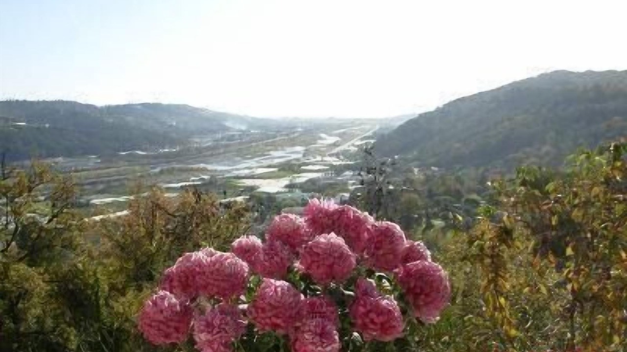 Photo of Others in Gattieres