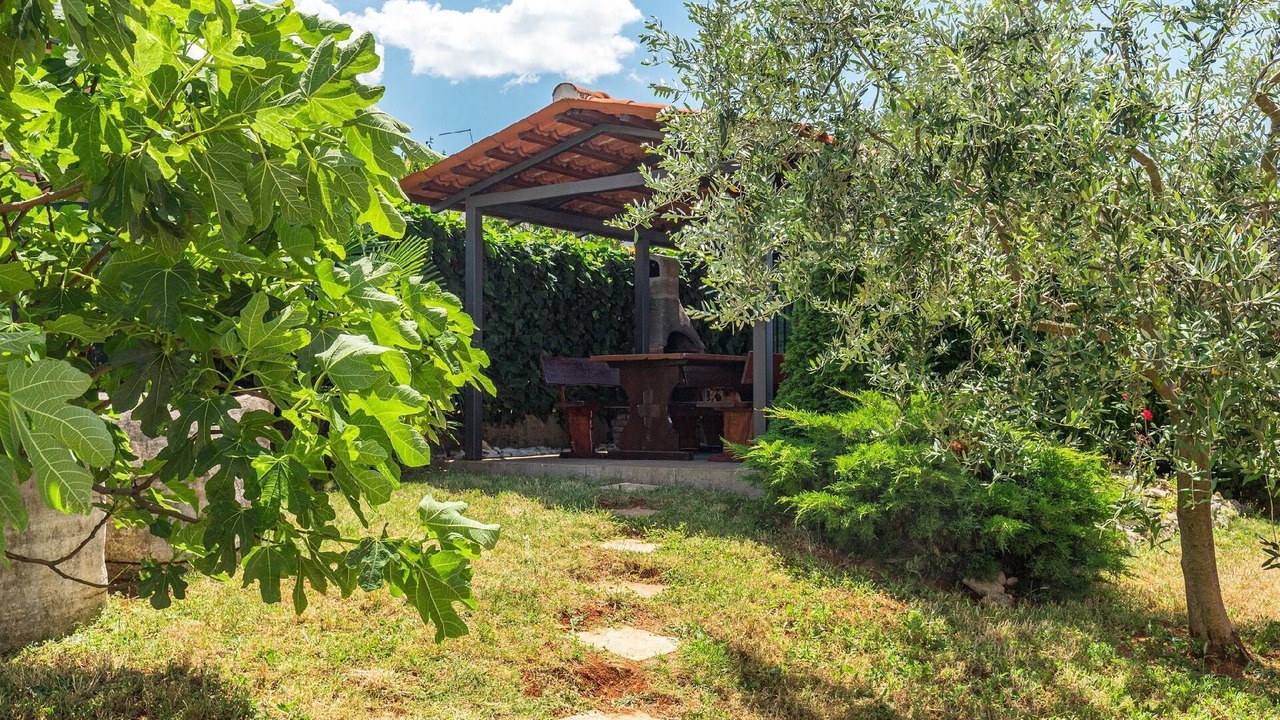 Photo of Outdoor in Dajla