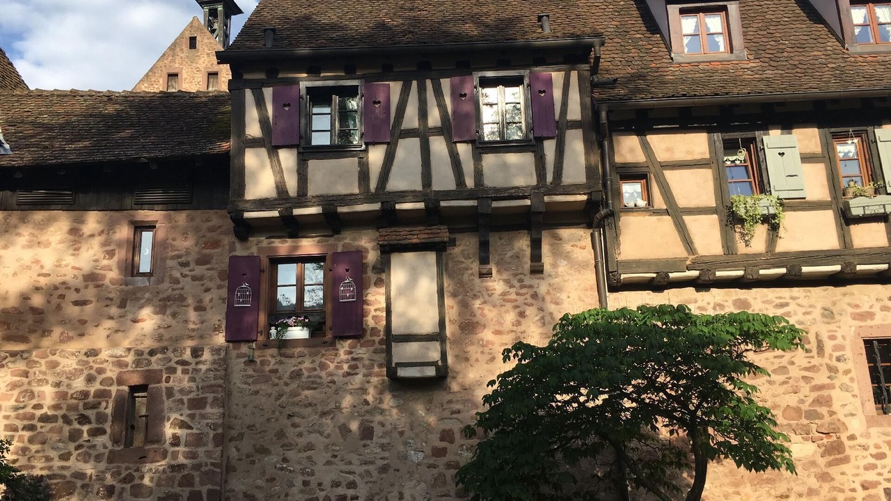 Photo of Outdoor in Riquewihr