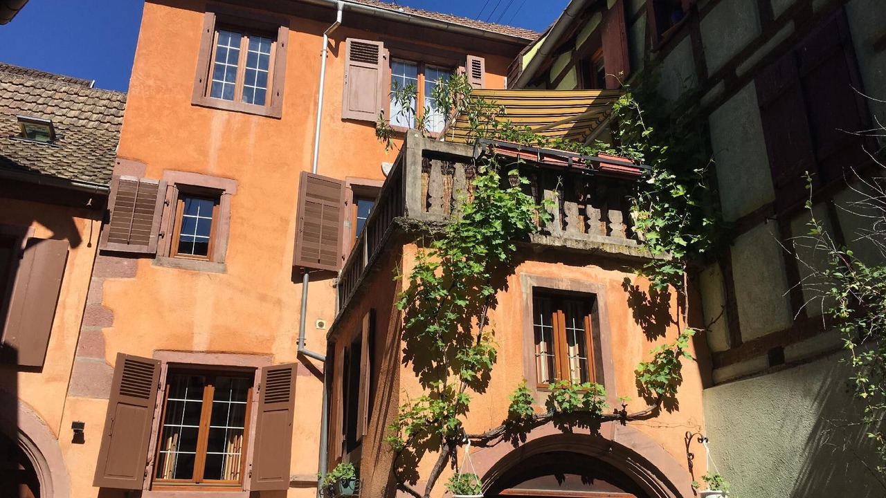 Photo of Outdoor in Riquewihr