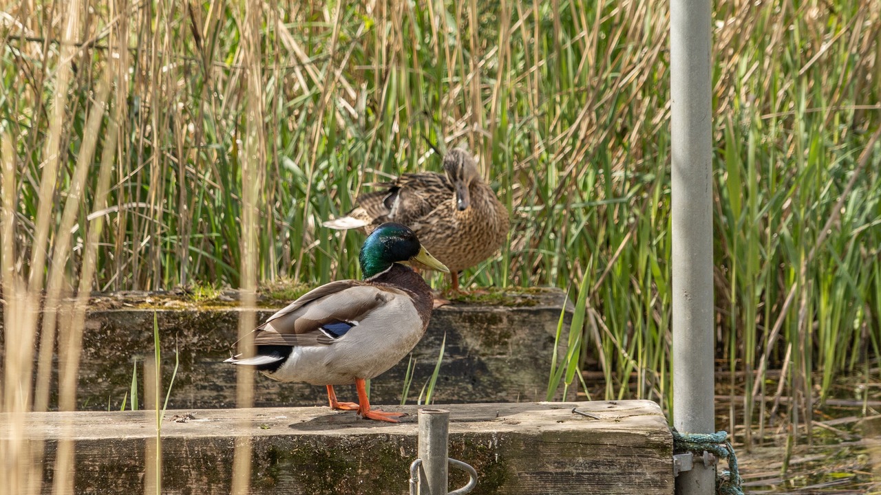 Photo of Outdoor in Krusaa
