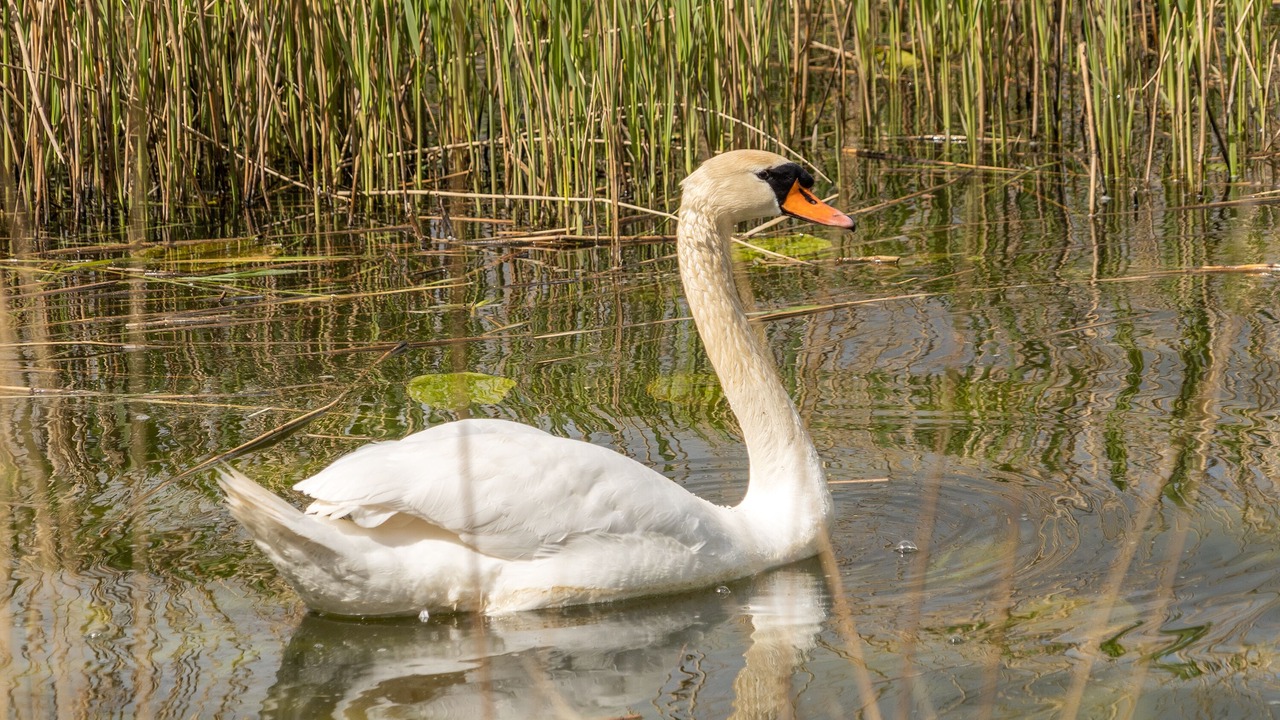 Photo of Patio Balcony in Krusaa