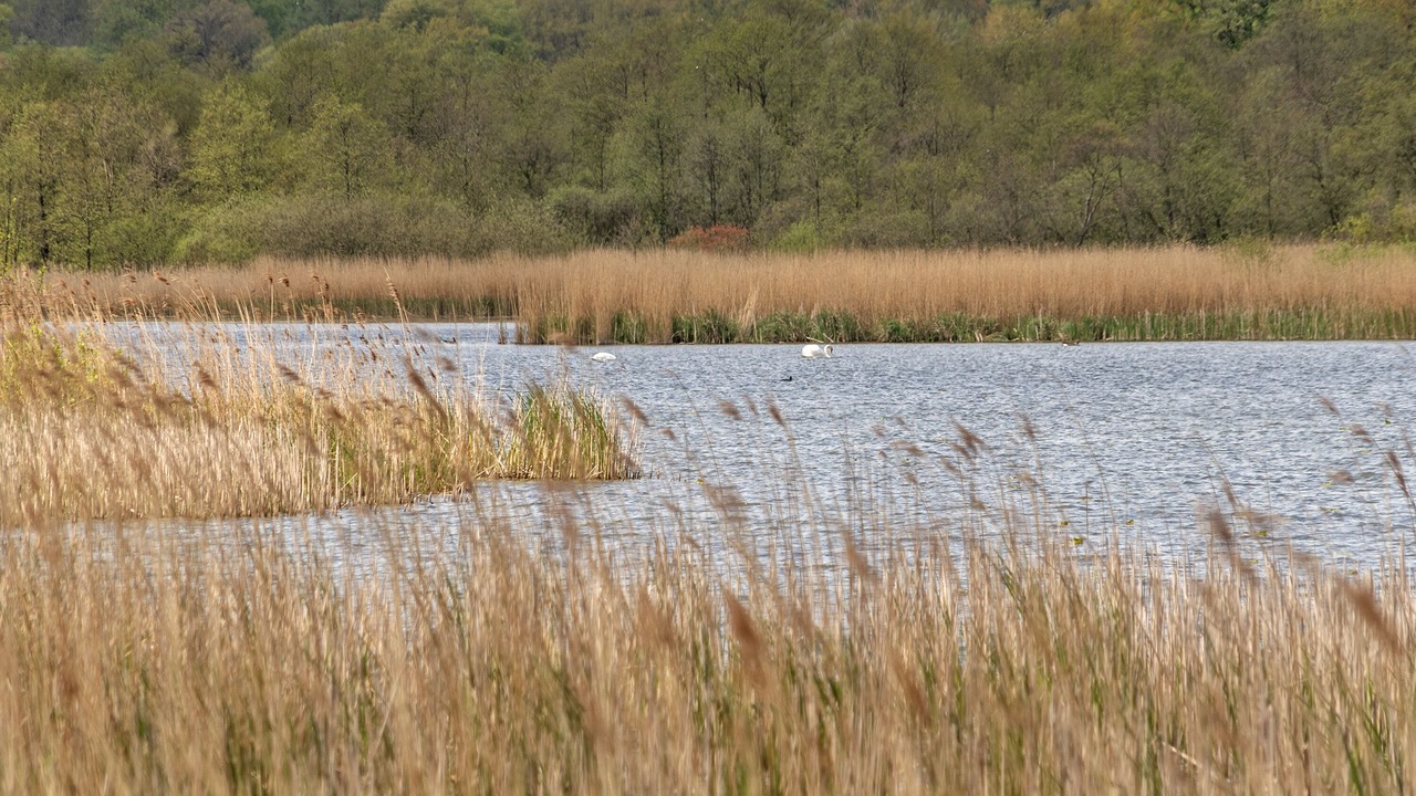 Photo of Outdoor in Krusaa