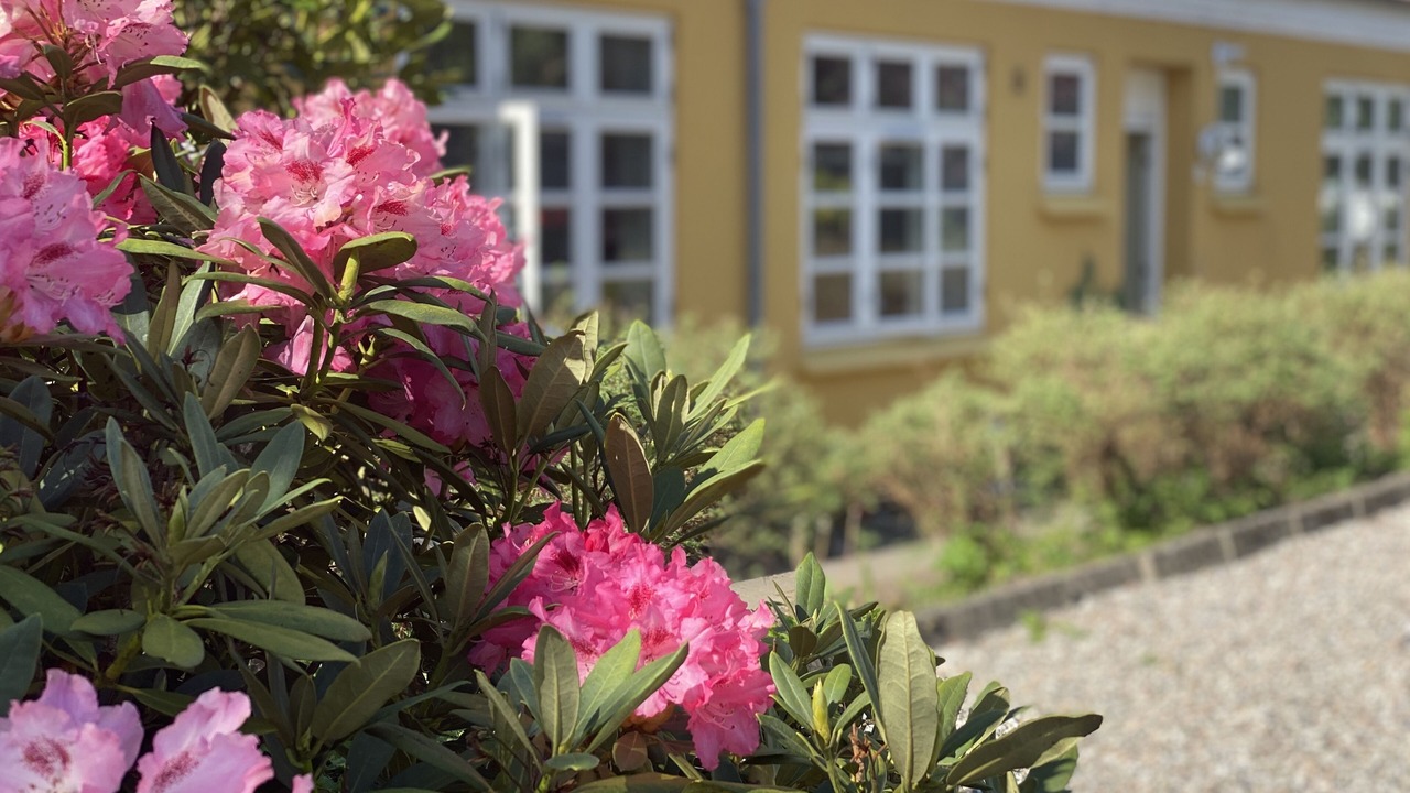 Photo of Outdoor in Krusaa