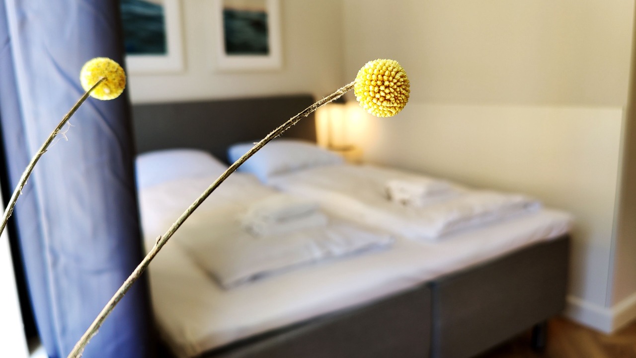 Photo of Others in Krusaa