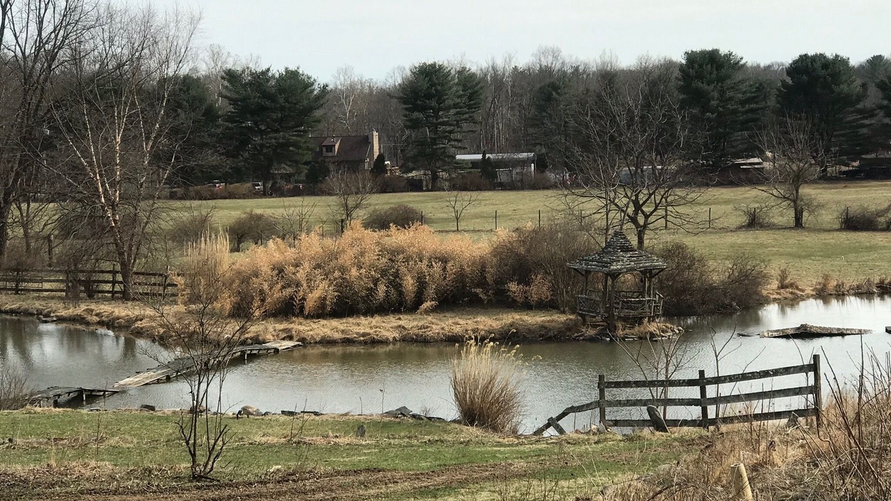 Photo of Outdoor in Saugerties
