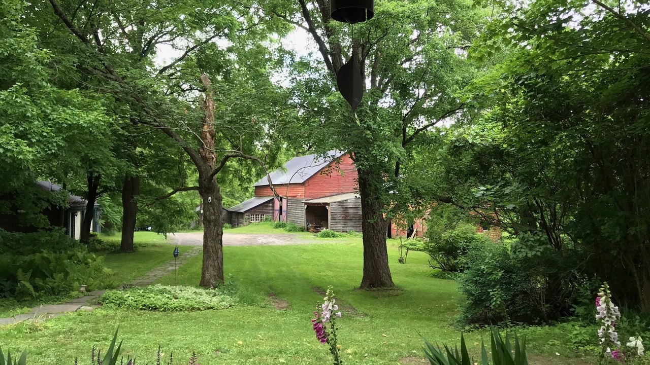 Photo of Outdoor in Saugerties