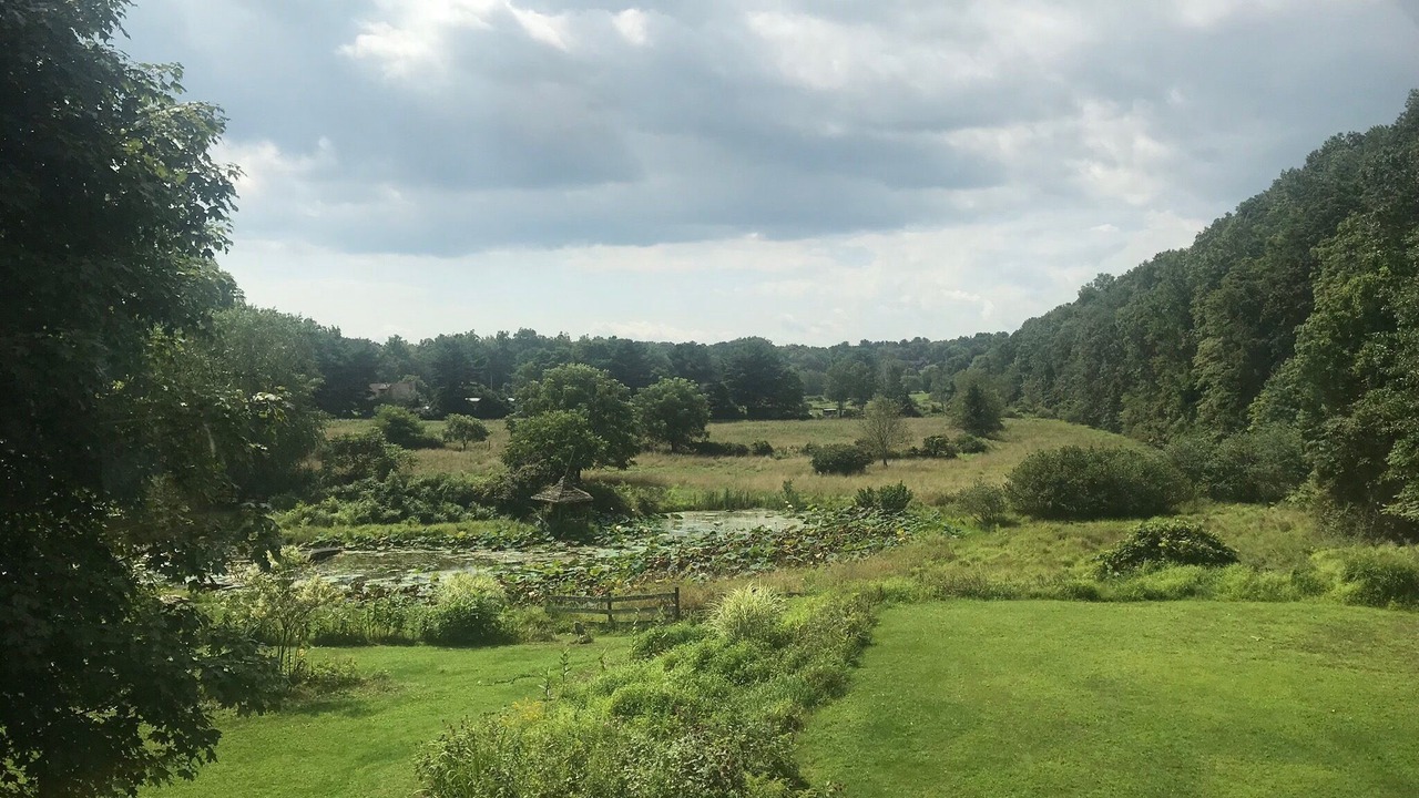 Photo of Others in Saugerties