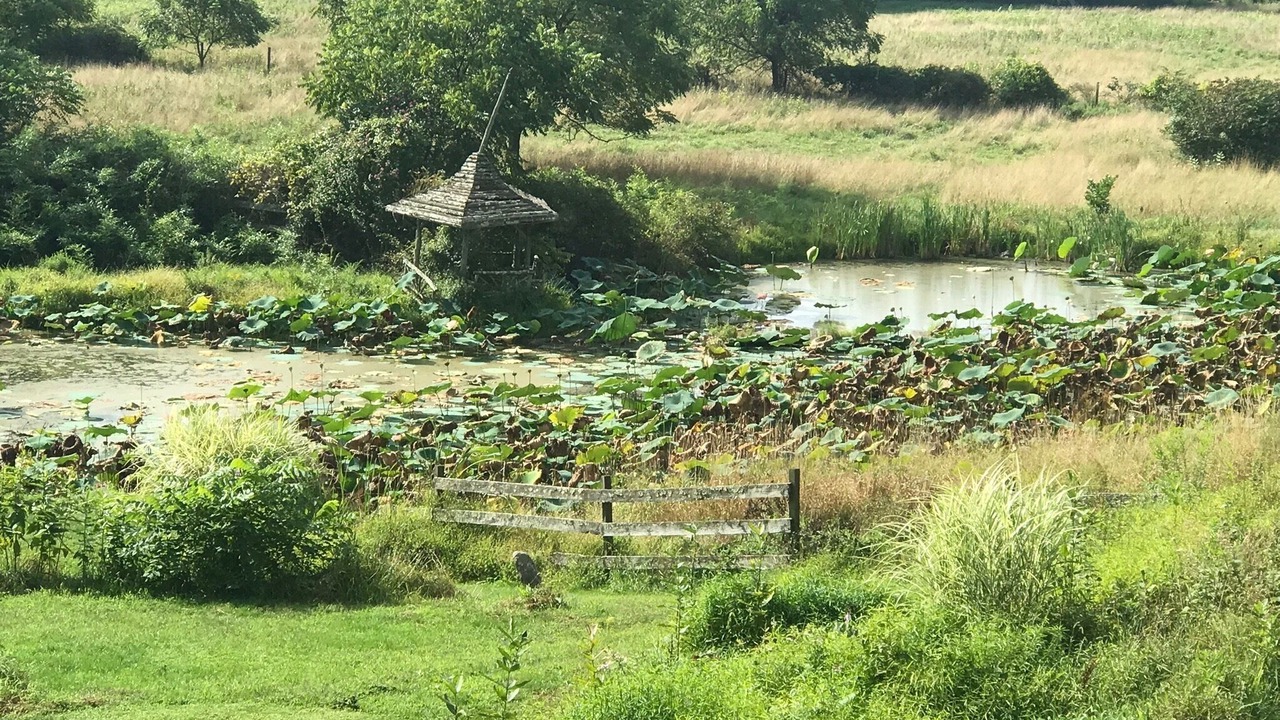 Photo of Outdoor in Saugerties