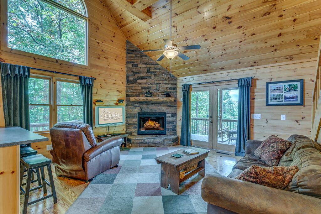 Photo of Livingroom in Copperhill