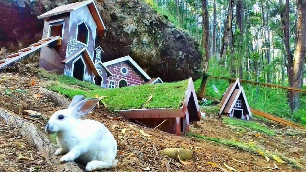 Photo of Outdoor in Mangunan