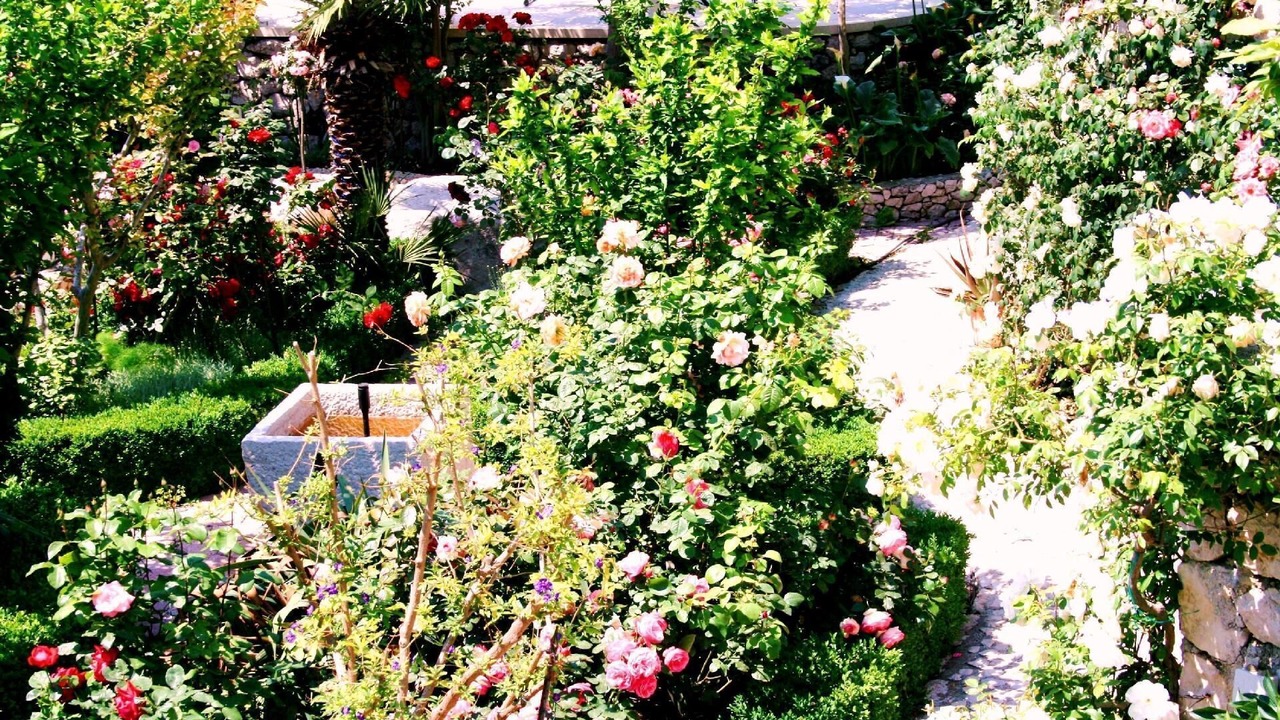 Photo of Outdoor in Drasnice