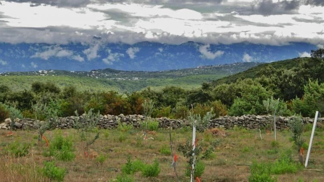 Photo of Outdoor in Rab Town