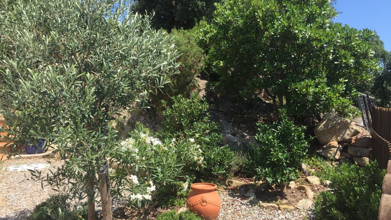 Photo of Outdoor in Santa Cristina de Aro