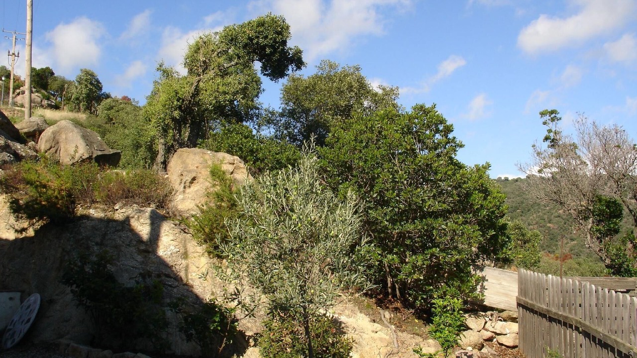 Photo of Outdoor in Santa Cristina de Aro