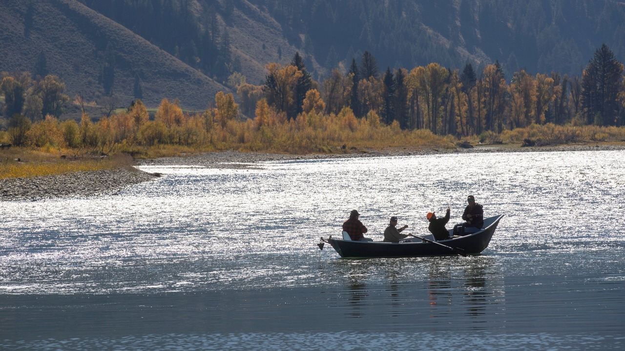 Photo of Others in Alpine