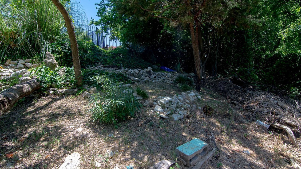 Photo of Outdoor in Lake Whitney