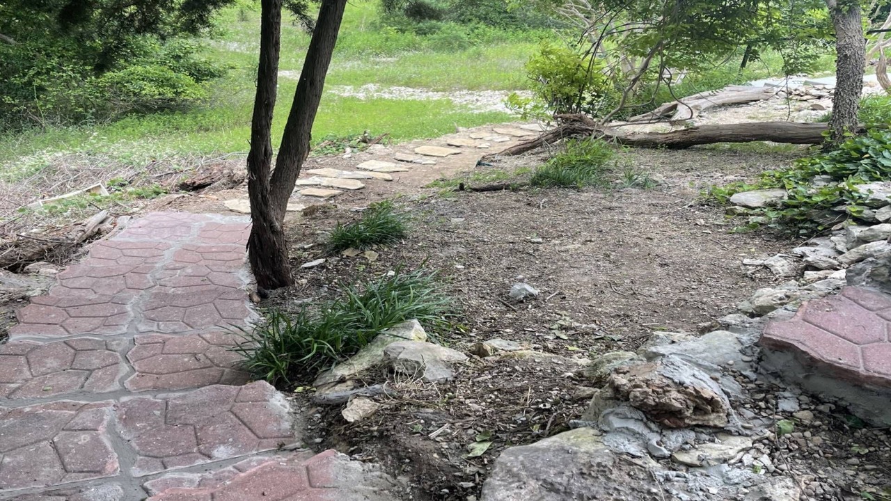 Photo of Outdoor in Lake Whitney