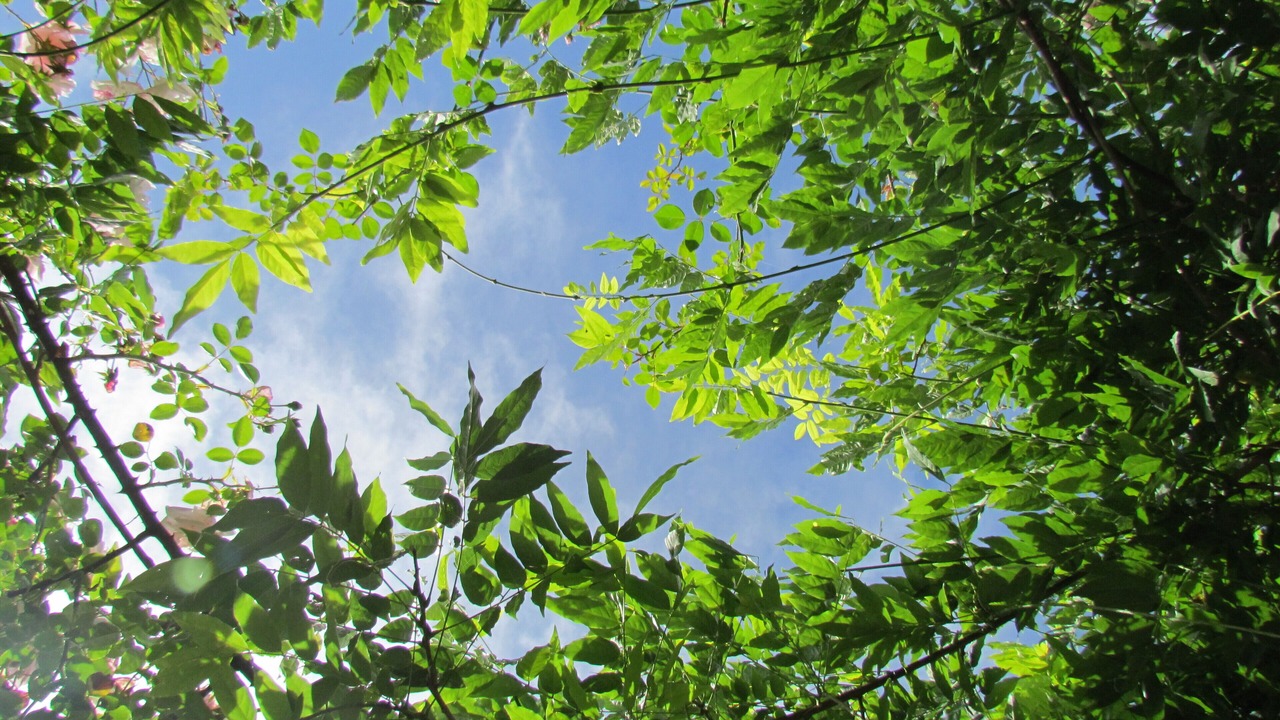 Photo of Outdoor in Villandry