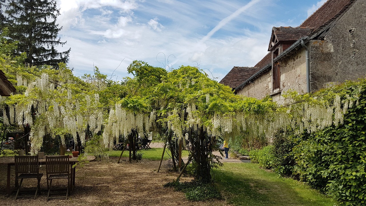Photo of Outdoor in Villandry