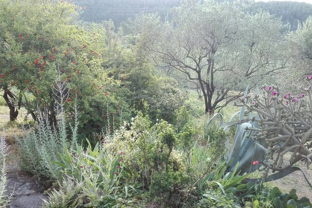 Photo of Outdoor in Les Salelles