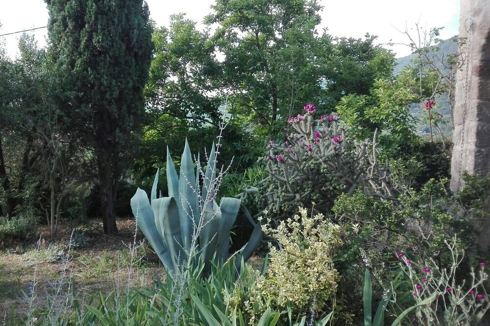 Photo of Outdoor in Les Salelles