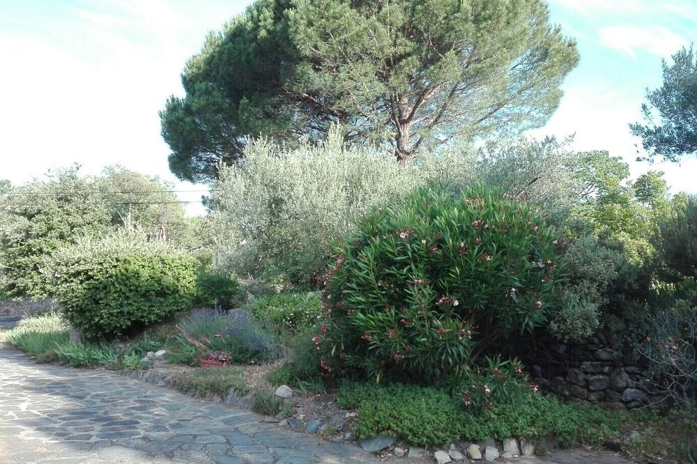 Photo of Outdoor in Les Salelles