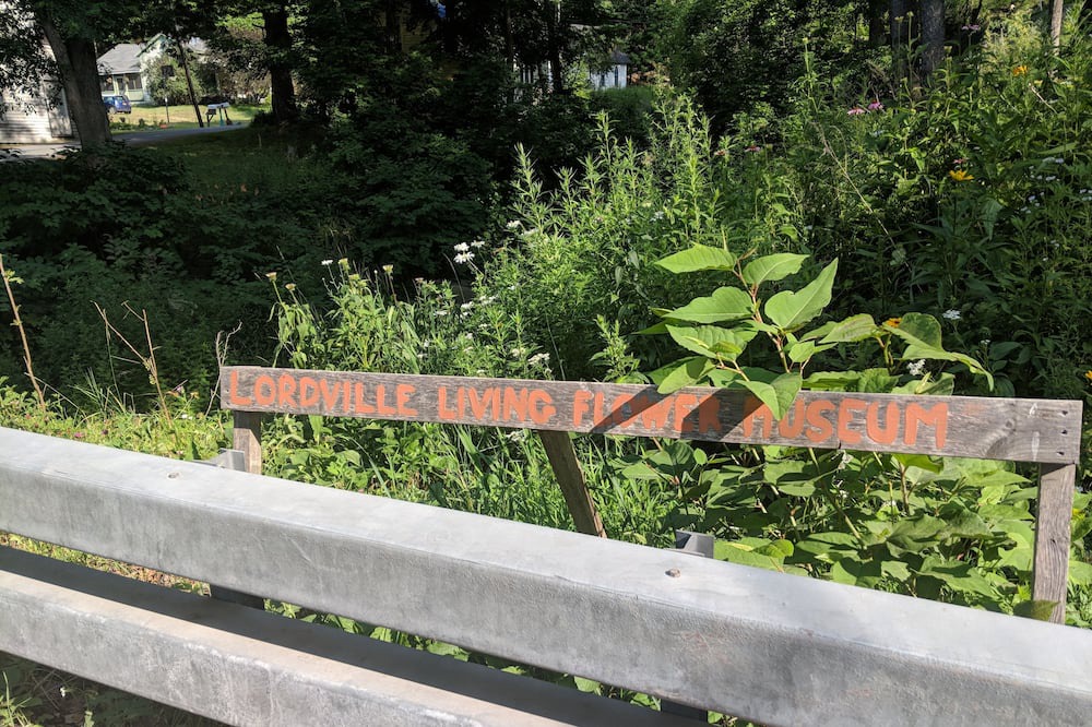 Photo of Others in Fishs Eddy