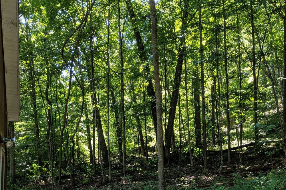 Photo of Others in Fishs Eddy