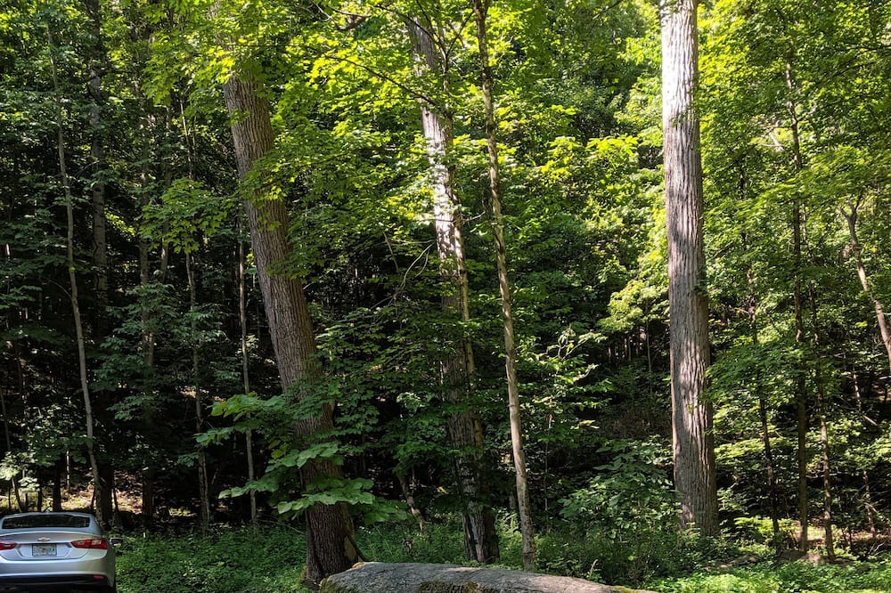 Photo of Others in Fishs Eddy