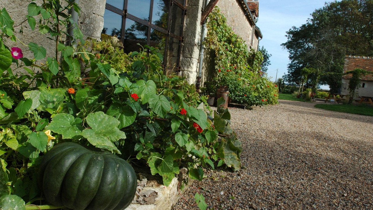 Photo of Outdoor in Villandry