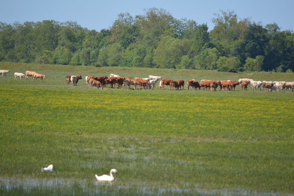 Photo of Outdoor in Curzon