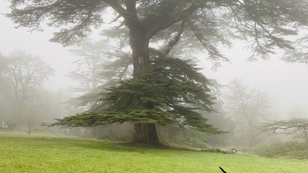 Photo of Others in Brighton