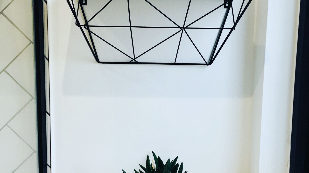 Photo of Others in Brighton