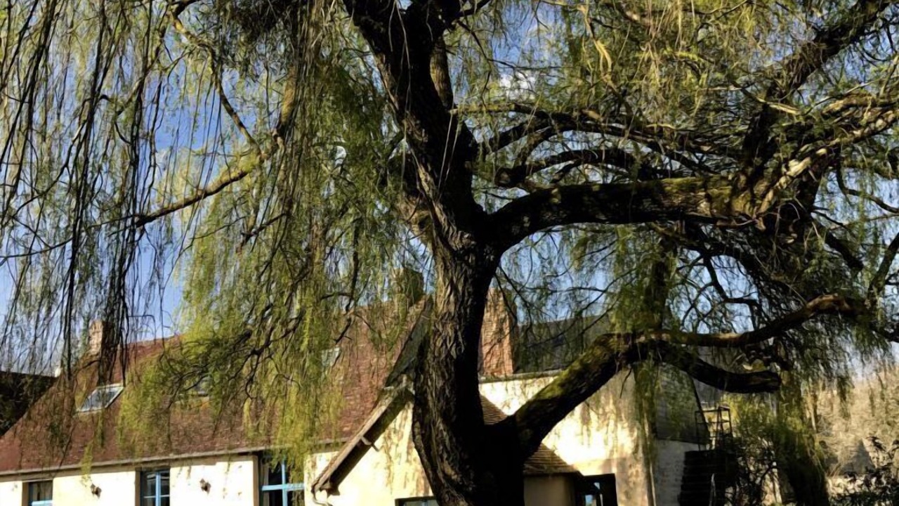 Photo of Buildings in Aunou-sur-Orne