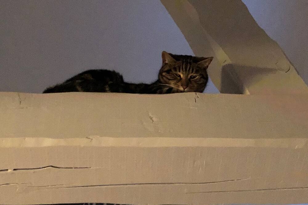 Photo of Bedroom in Veyrier-du-Lac