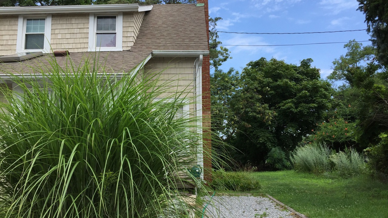 Photo of Outdoor in Suffolk County