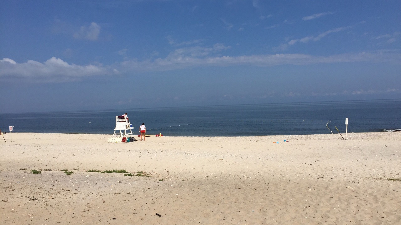 Photo of Others in Suffolk County