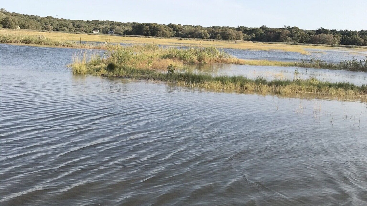 Photo of Others in Suffolk County