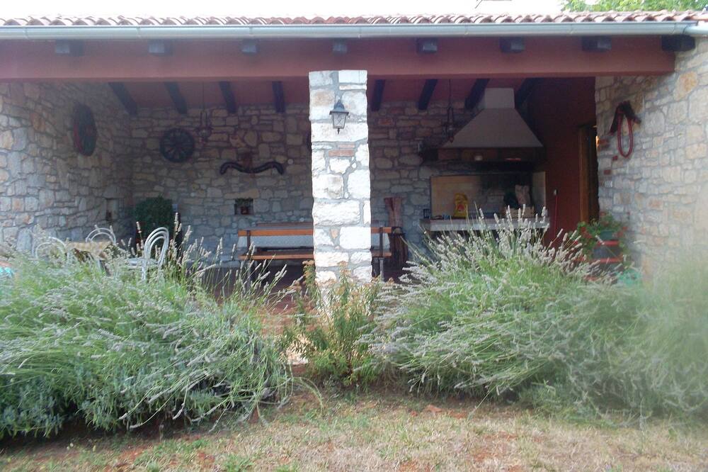 Photo of Outdoor in Strpacici