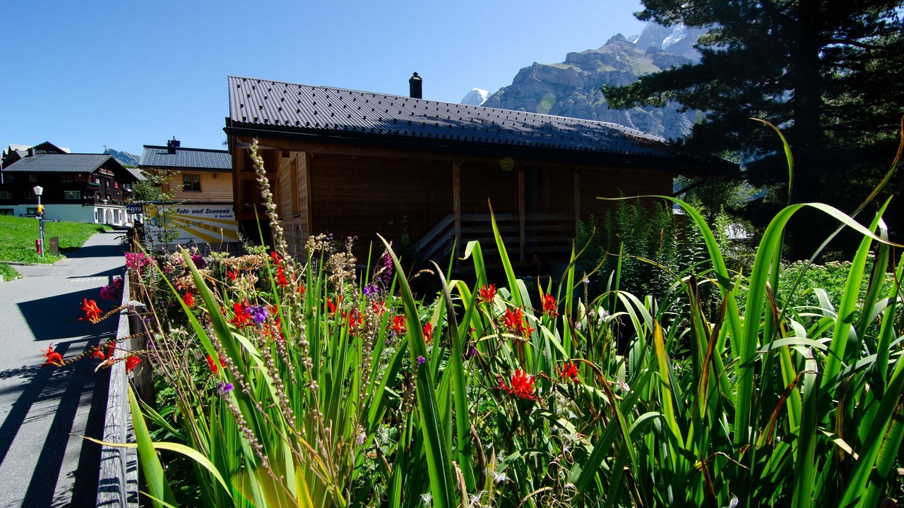 Photo of Outdoor in Murren