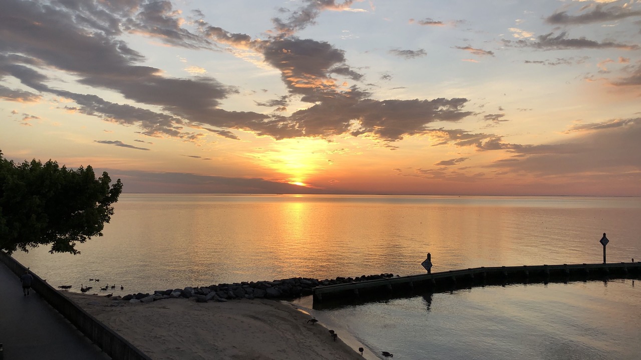 Photo of Others in North Beach