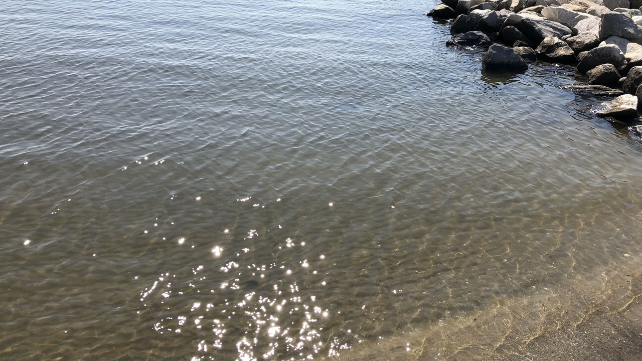 Photo of Others in North Beach