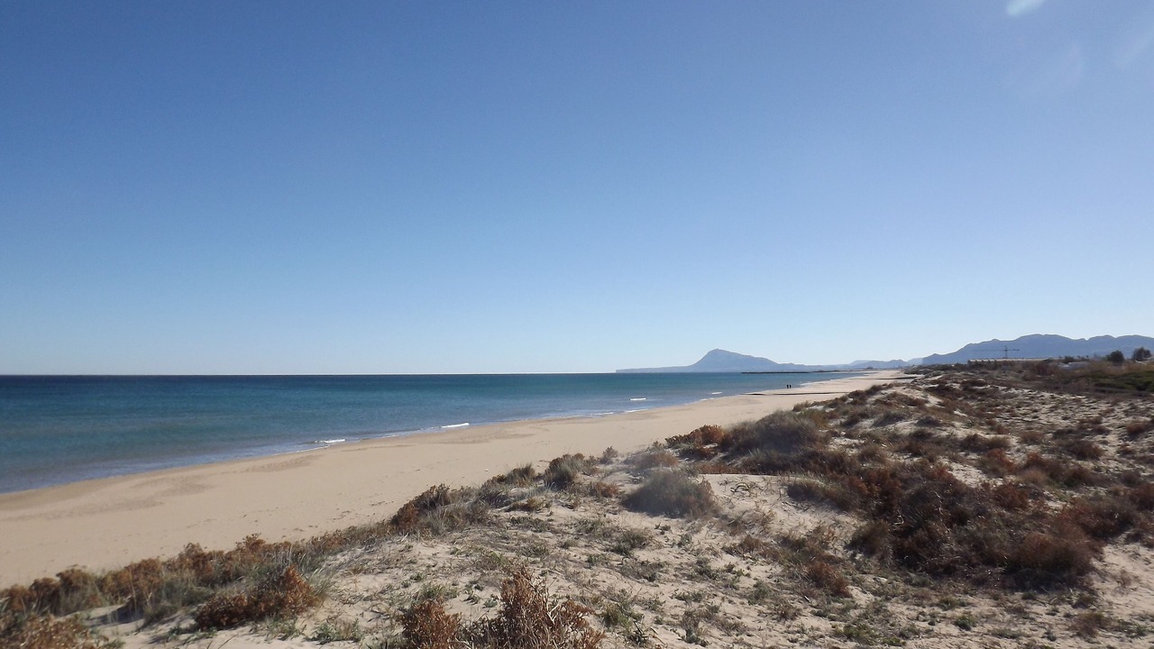 Photo of Others in Platja de Piles