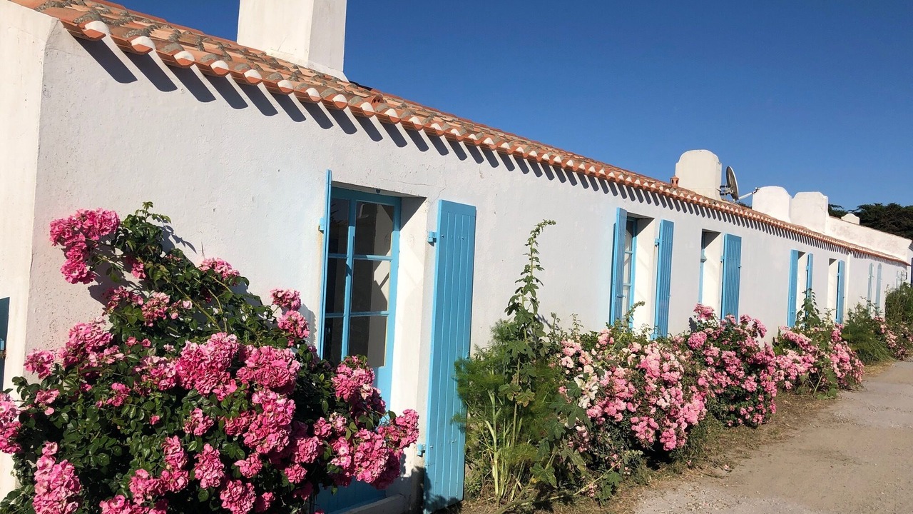 Photo of Outdoor in Ile d'Yeu