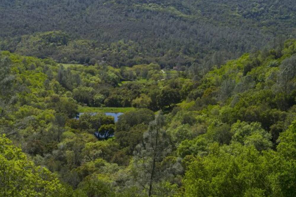 Photo of Outdoor in St. Helena