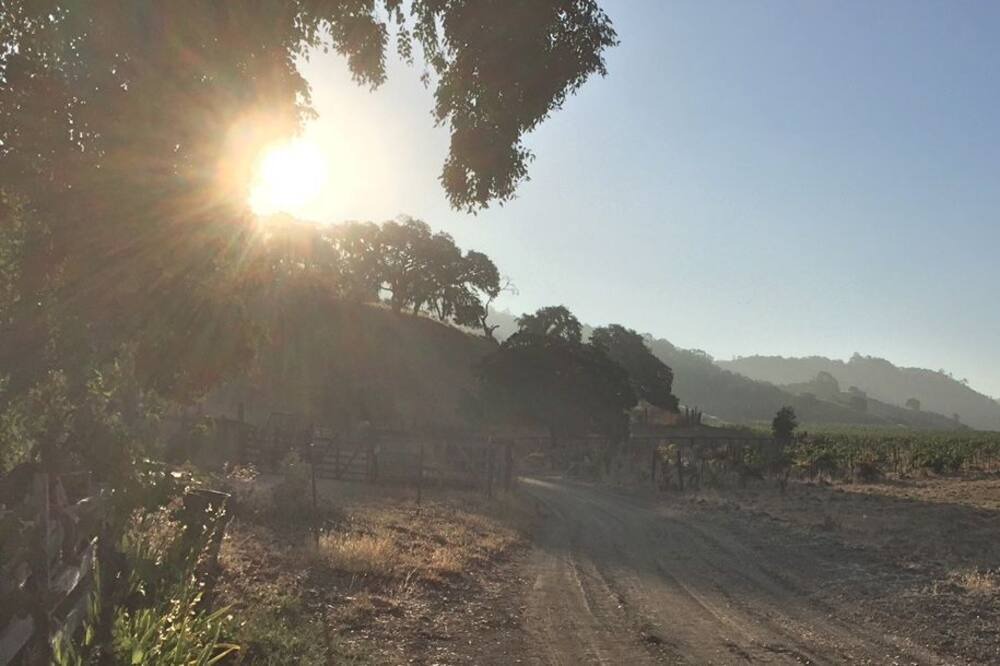 Photo of Others in St. Helena